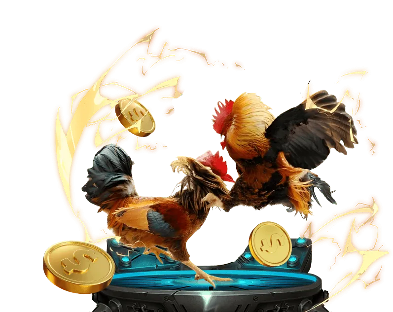 Hướng dẫn chi tiết cách tham gia cá cược đá gà